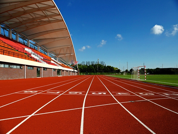 瑞麗<font color='red'>膜結構看臺</font>主席臺雨棚施工安裝